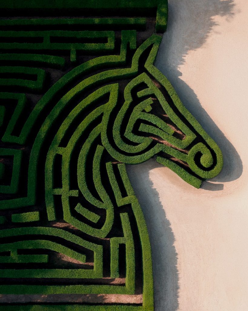 HORSE HEAD MAZE 4x5 1 1